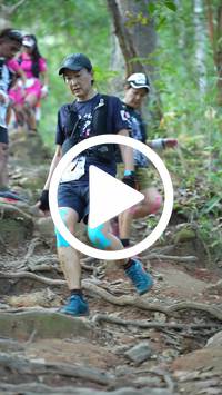 BIB:  <button type="button" onclick="openModal(27642976)" class="btn btn-primary btn-sm float-right" data-toggle="modal" data-target=".modal-high-quality">
                <i class="fa fa-download"></i> Download
                </button>